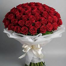 Букет 101 Красная роза Блэк Мэджик в Введенское