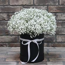 Цветочная композиция из Гипсофила в шляпной коробке в Введенское