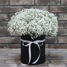 Цветочная композиция из Гипсофила в шляпной коробке в Введенское